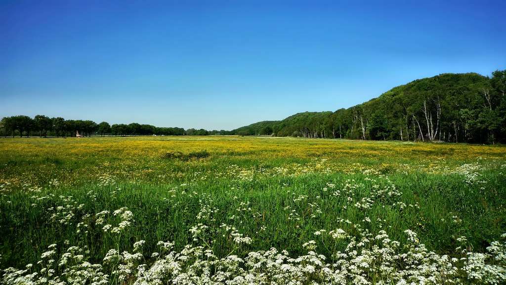 Jansberg, Milsbeek, Nimmalaya