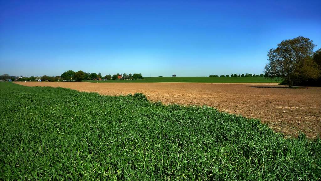 Panorama, Kalkar, Kalkarpaten