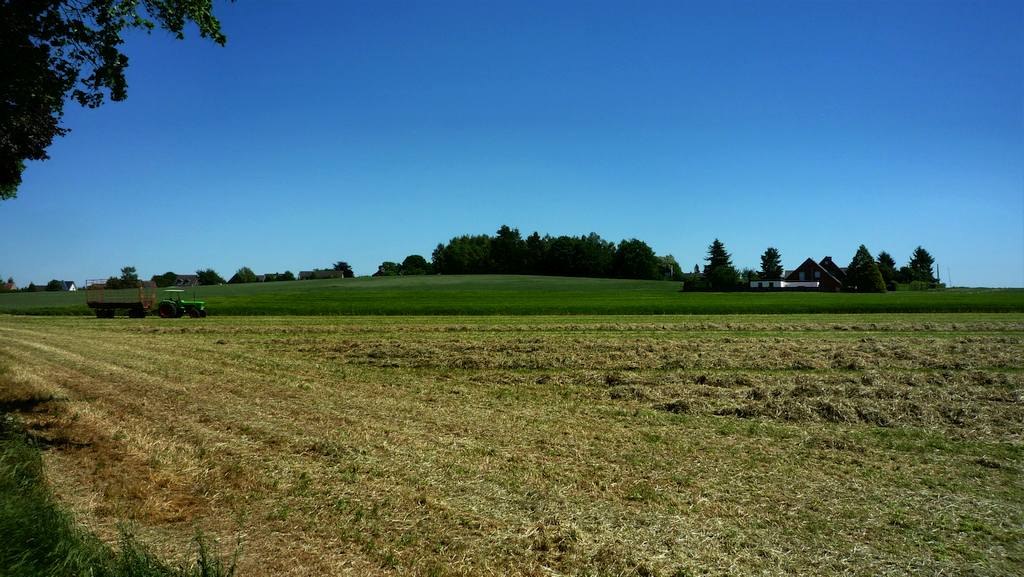 Kleine Eselsberg, Schneppenbaum, Kalkarpaten