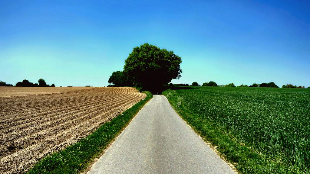 Allenberg, Uedem, Kalkarpaten