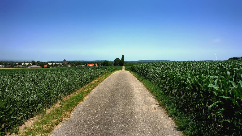 Brandenberg, Frasselt, Nimmalaya