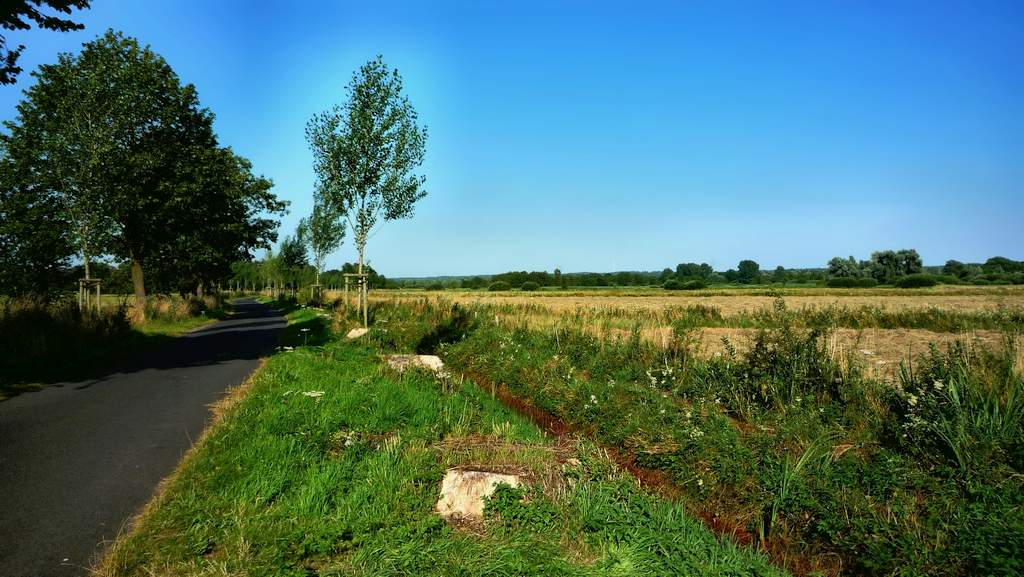 Düffel, Kranenburg, Donsrug