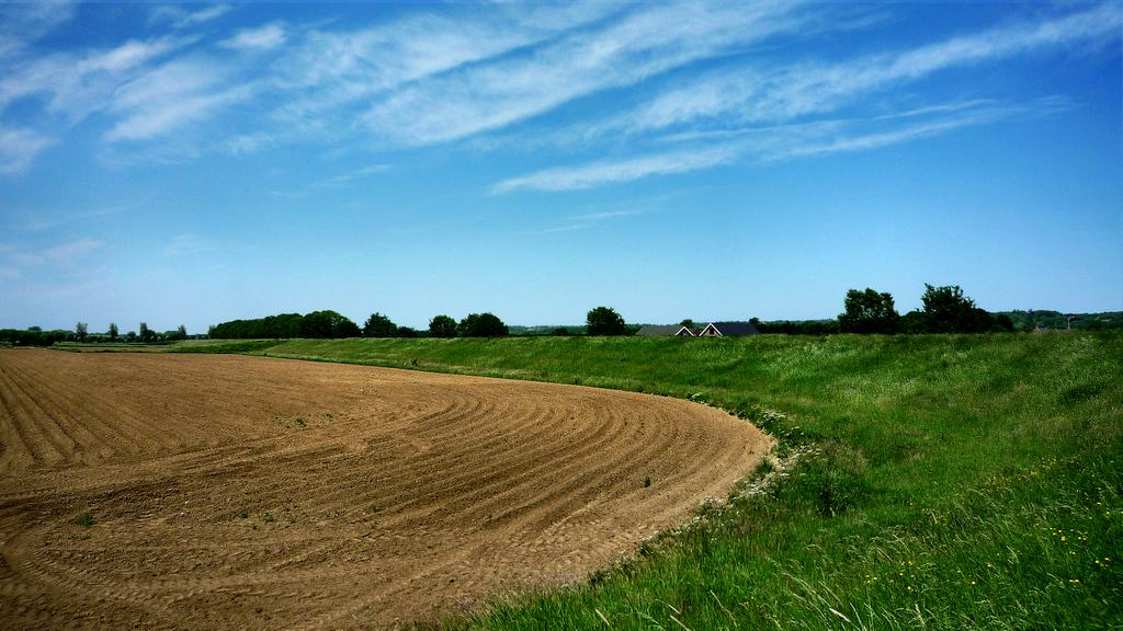 Maasdijk, Middelaar, Afferdennen