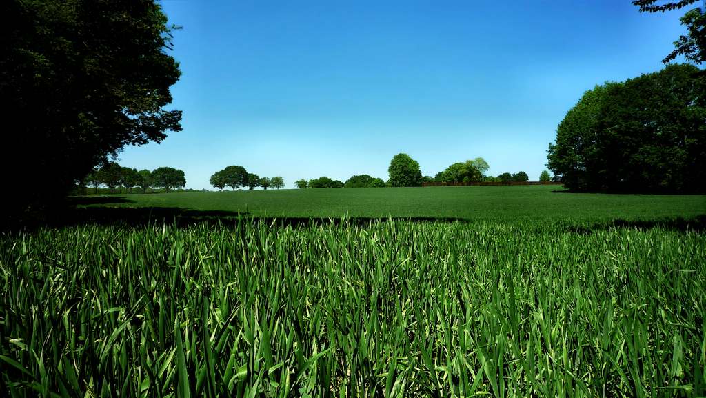 Hogeklef, Groesbeek, Nimmalaya