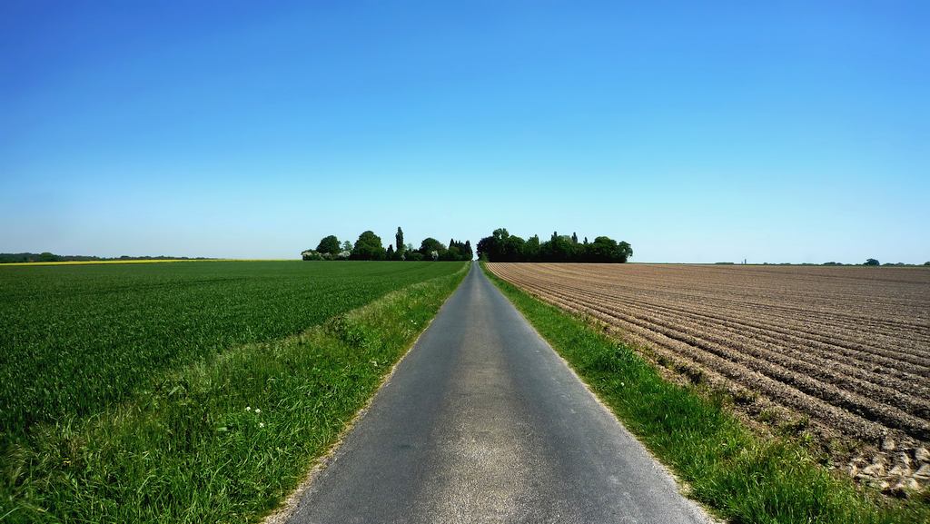 Grafenberg, Louisendorf, Kalkarpaten