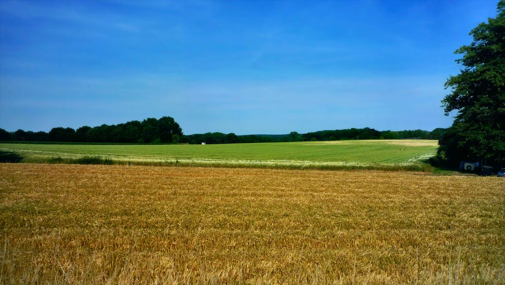 Panorama, Uedem, Kalkarpaten