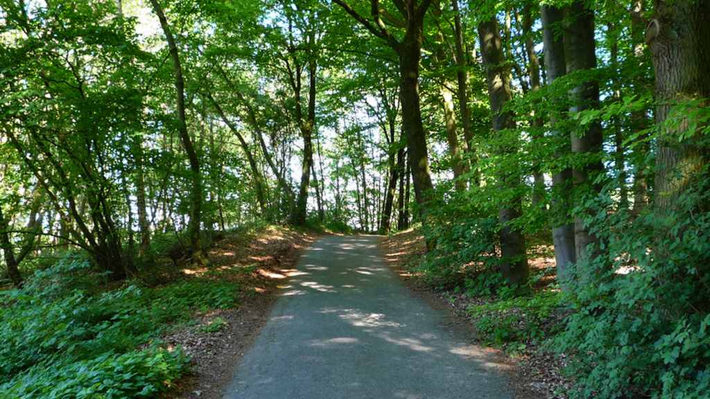 2.1 Stuwwal Sonsbeck - Schweineberg - Sonsbeck