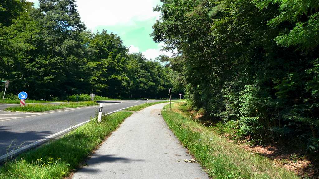 2.2 Sandr Reichswald - Kaninenberg - Kleve