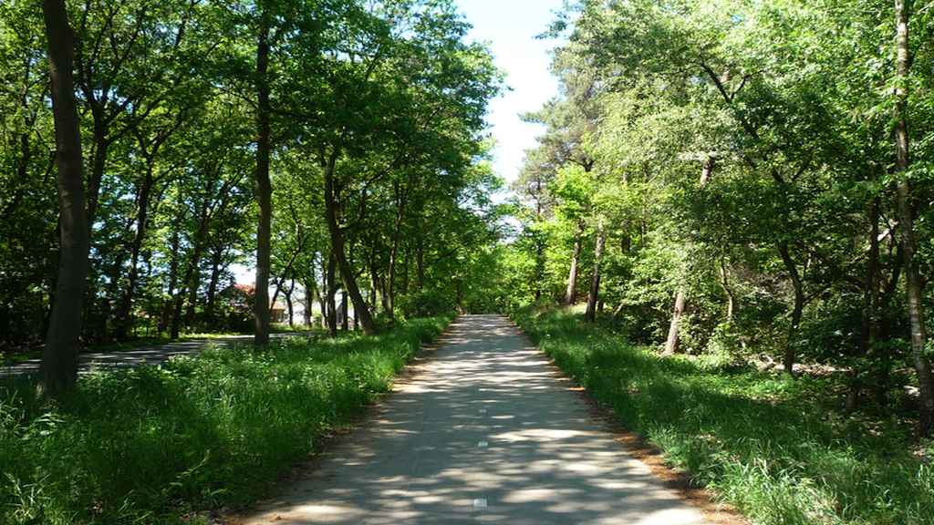 3.1 Duin Maas en Waal - Wijchenerhorst - Alverna