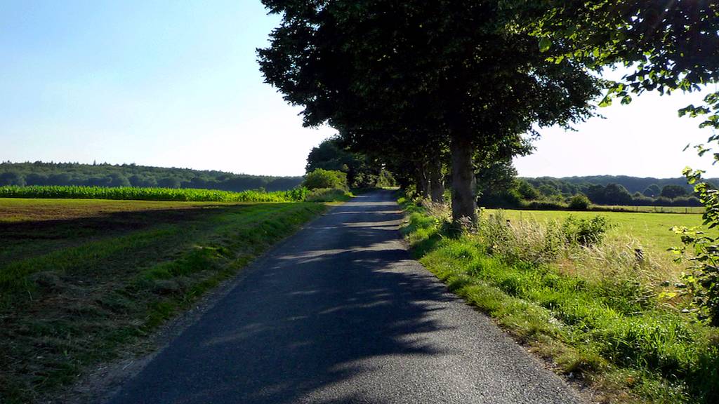 4.1 Brug wegviaduct - Treppkesweg - Schottheide