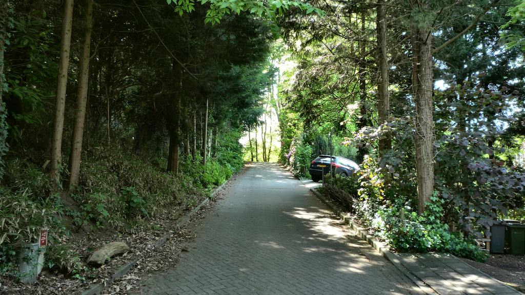 Bosweg (a) 9-1-2-6 %