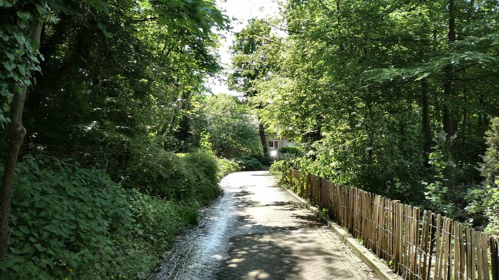 Elzenweg (a) 5-3-5 %