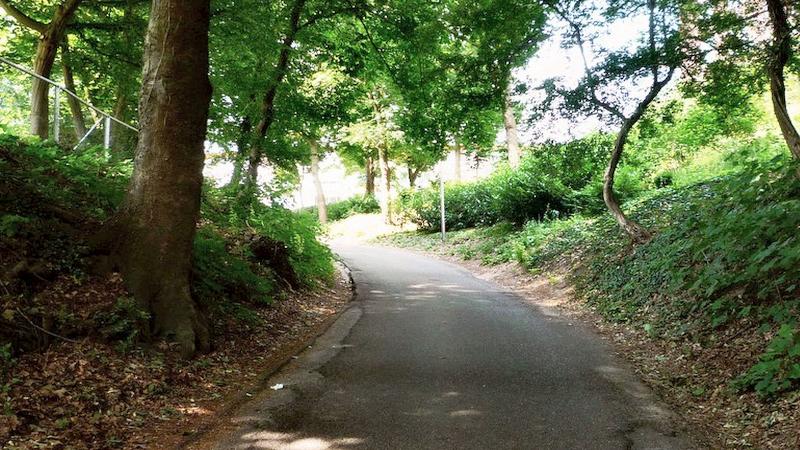 Grote Kop - Beekmansdalseweg (9 UFL)