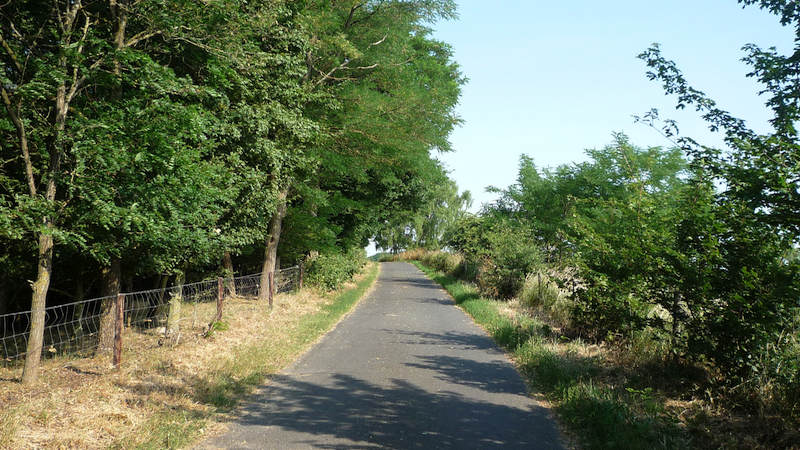 Liesenberg - Vogelsang (5 UFL)