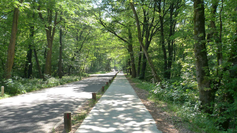 Mulderskop - Biesseltsebaan (3 UFL)