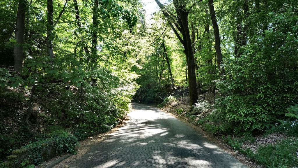 Nieuwe Holleweg (e) 7-11 %