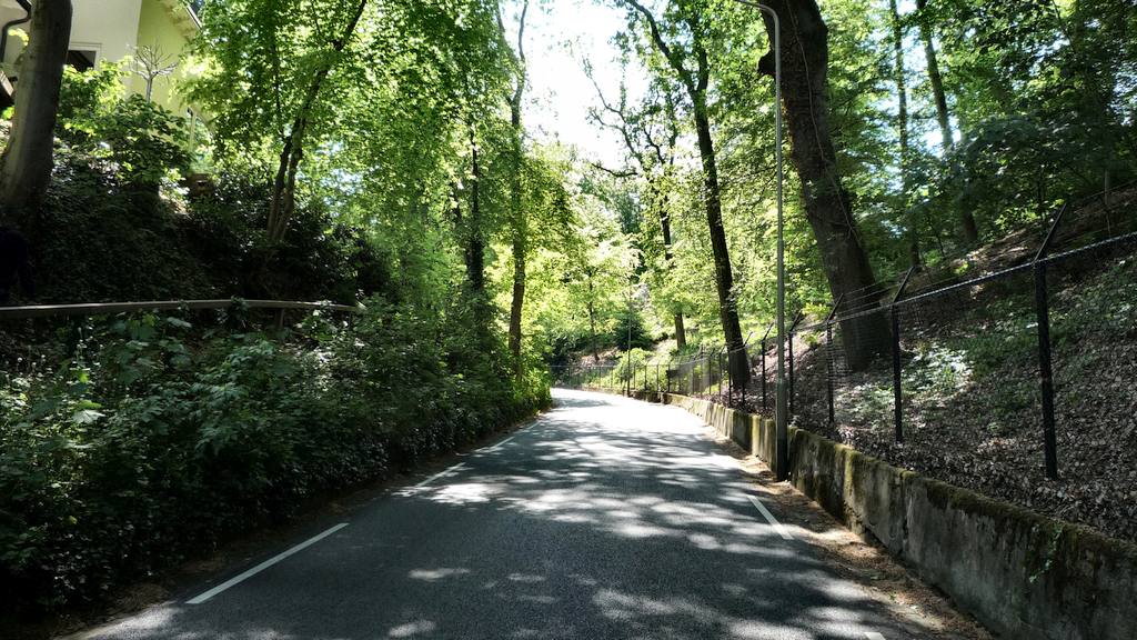 Nieuwe Holleweg (f) 11-11 %