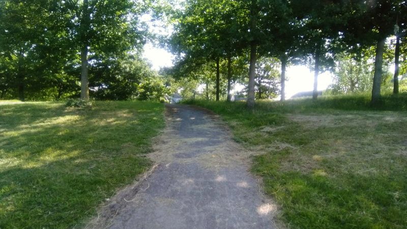 Oberg Ovalbos (b1) (PB)