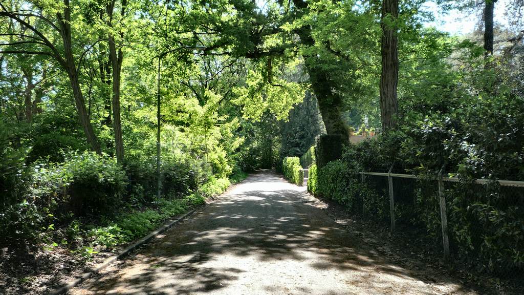 Oosterbergweg (a) 6 %