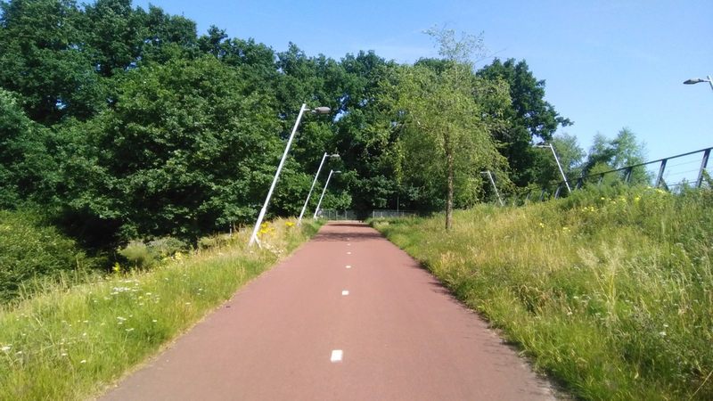 Uberg Moskesbrug (w) (b1) (PB)