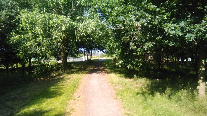 Uflacht Overbos (b2) (PB)