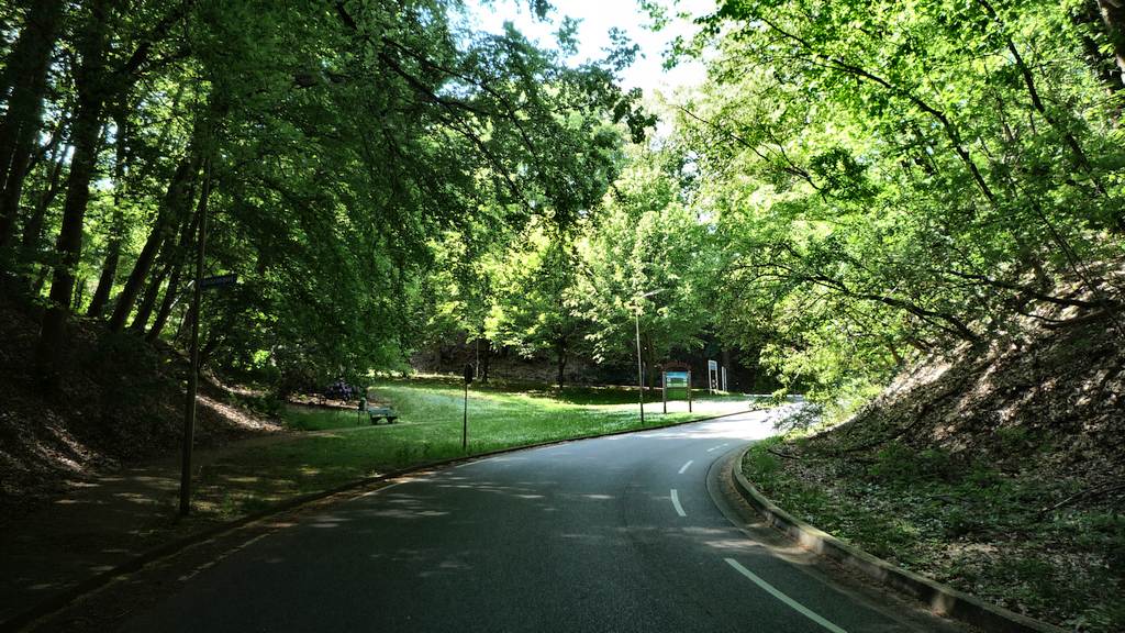 Van Randwijckweg (d) 6 %