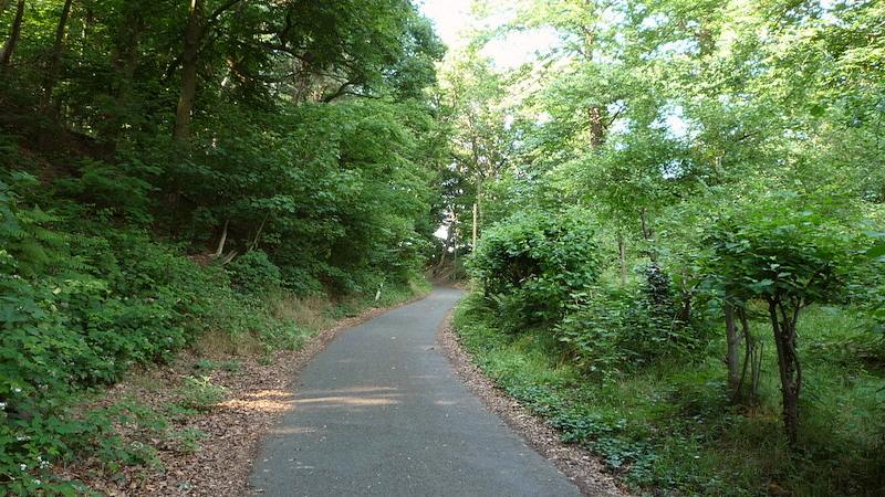 Zangvogel (1) Wylerberg