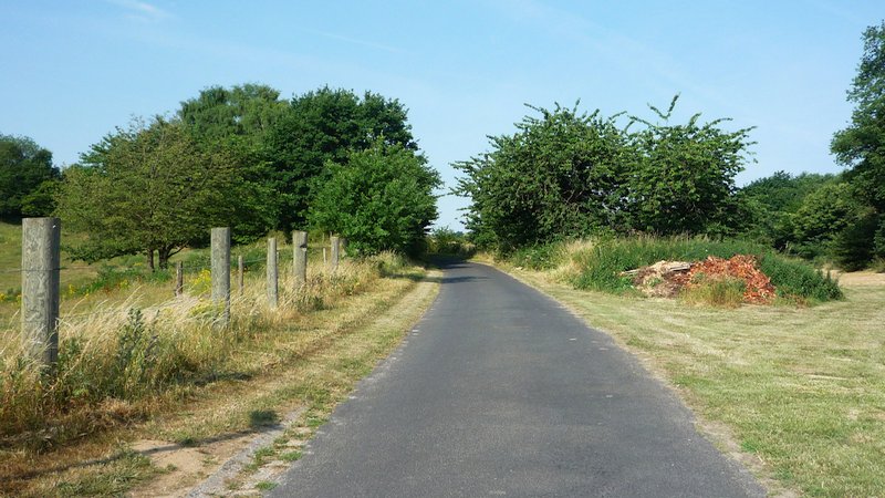 Zangvogel (2) Liesenberg