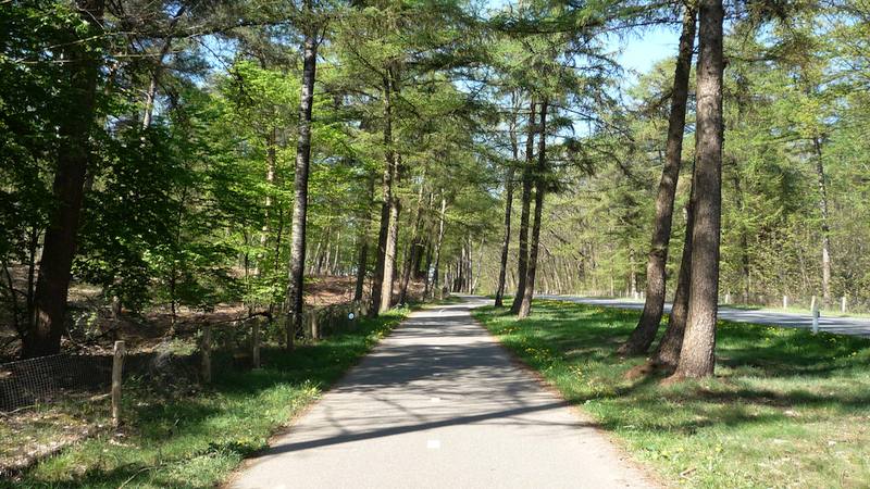 Hoogte (5) Vlierenberg - Zevenheuvelenweg