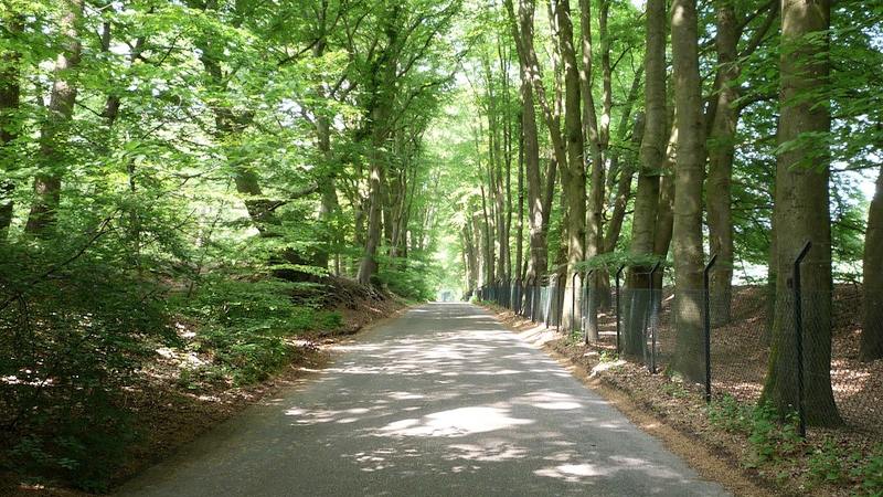 Hoogte (6) Brantberg - Postweg