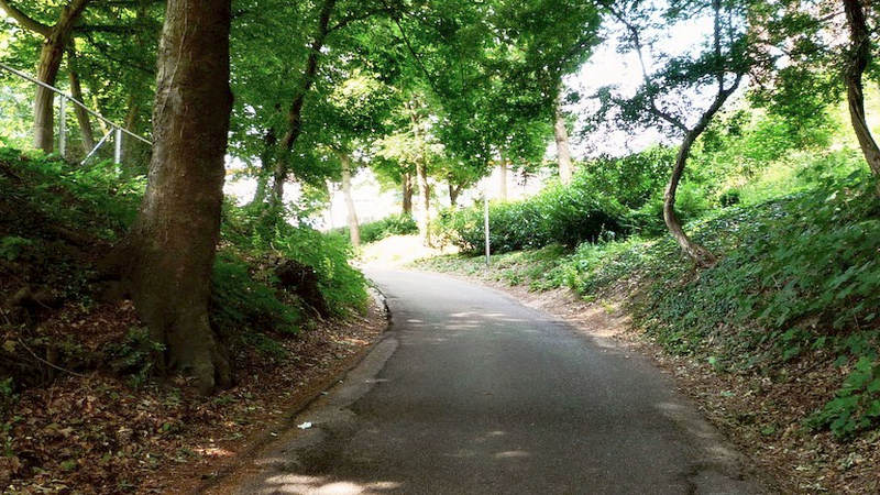 Grote Kop - Beekmansdalseweg