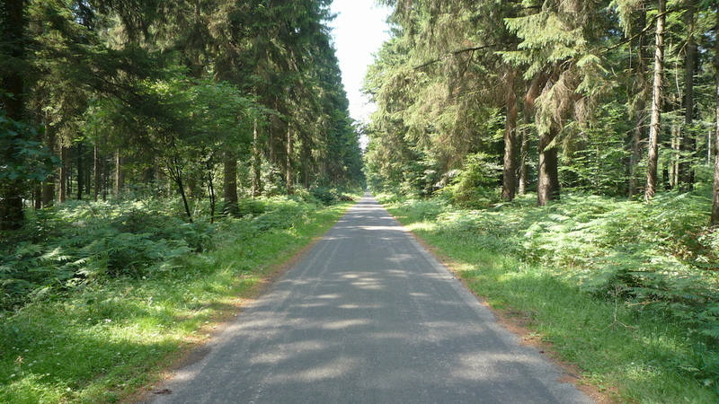 Hemmendalsklef (1) - Kartenspieler Weg