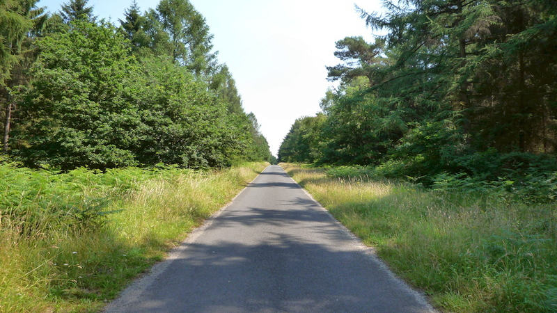 Hertenkop (1) - Kartenspieler Weg