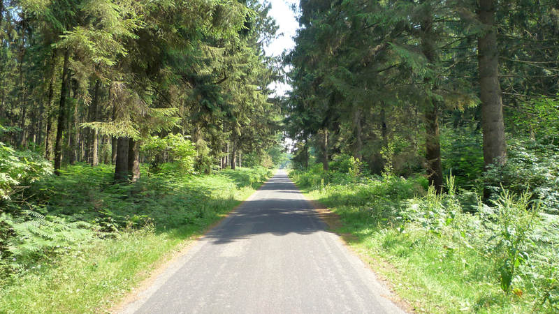 Hondsiep (1) - Kartenspieler Weg