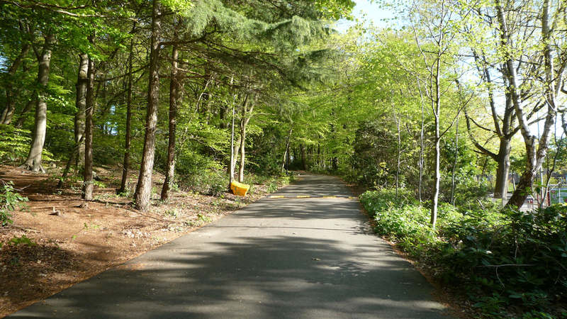 Ketelberg - Mariënbosch (vp)