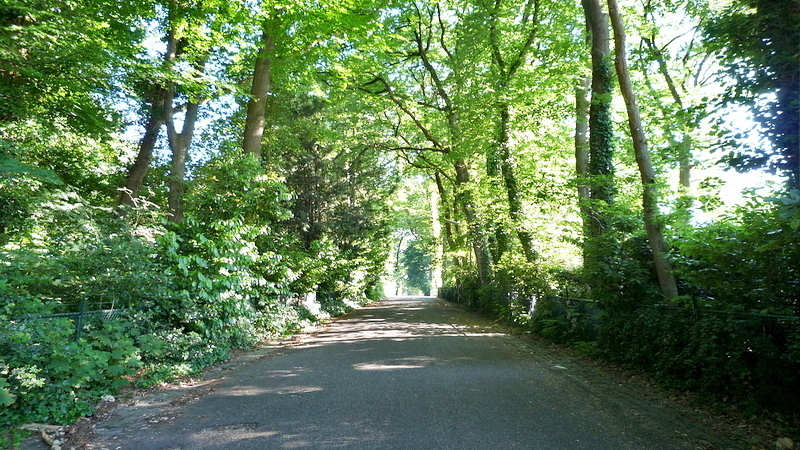 Kwakkenberg - Torenweg