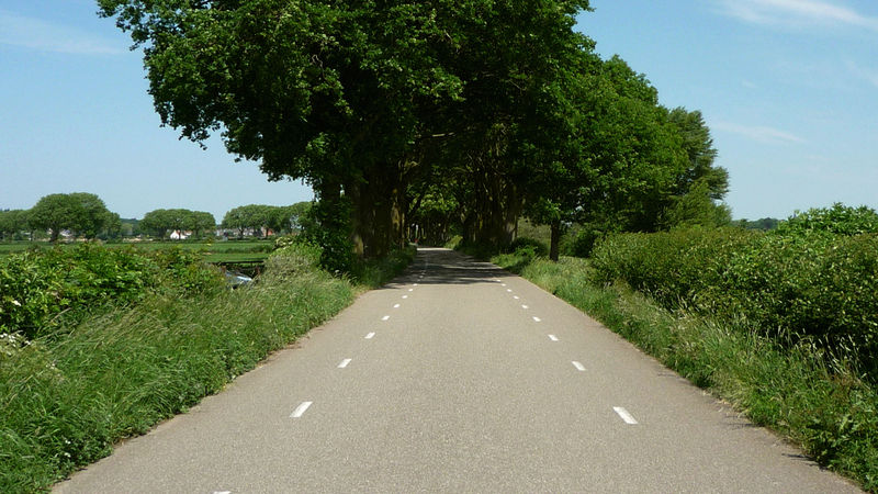 Hoogte (5) N.N. - Voordijk