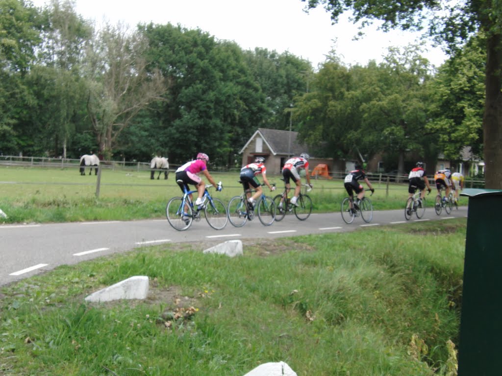 Ronde van Lepelstraat, bron: N.N.